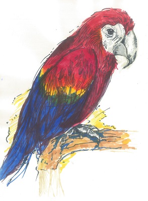 Portfolio Item